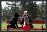 View IMG 2872