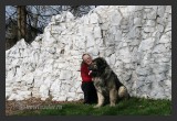 View IMG 2881