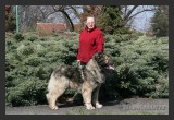 View IMG 2883