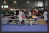 View IMG 2546