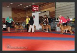 View IMG 1347