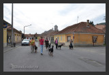 View DSC 0083