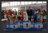 View 10600558 716645058410362 6514616198287564966 n