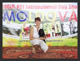 View enot 2