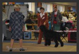 View DSC 4548