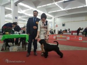 image-0-02-05-de2088206a6a0a6eff8470ef15d8e8865787c9f494f4f85397d58c4e7e7253bf-v