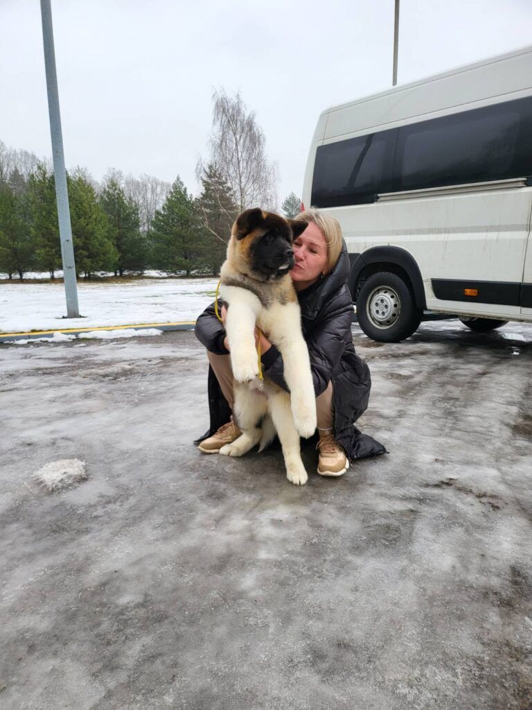 изображение_viber_2021-12-15_11-34-58-167