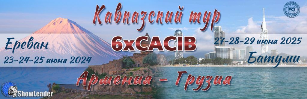 Результаты поездки 6xCACIB Армения (Ереван) — Грузия (Батуми)  23-29 июня 2025
