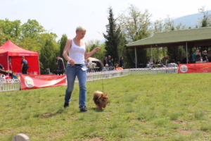 IMG 3733