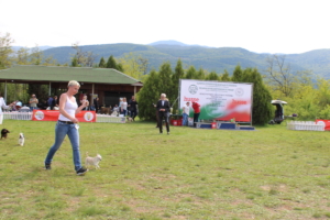 IMG 3770
