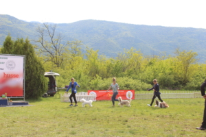 IMG 3773