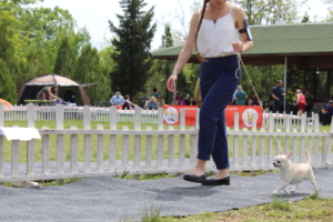 IMG 3979
