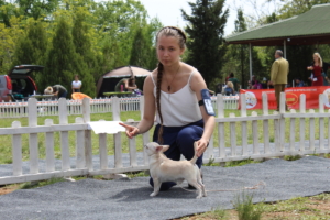 IMG 3981
