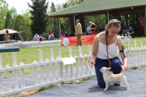 IMG 3983