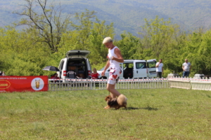 IMG 4146