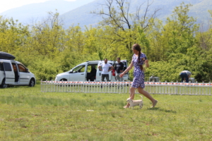 IMG 4154