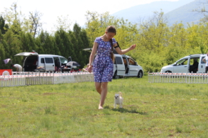 IMG 4156