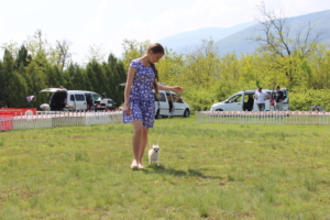 IMG 4157
