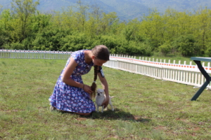 IMG 4158