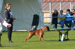 DSC 7029