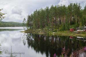 DSC_0676