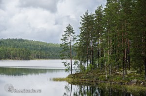 DSC_0677