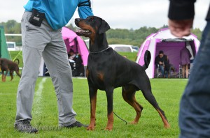 DSC_0803