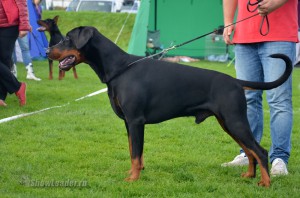 DSC_0907