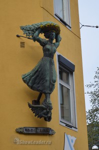 DSC_1567