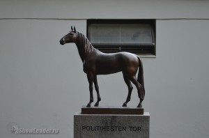 DSC_1658
