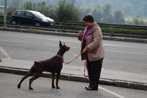 FB_IMG_1425580887674