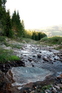 FB_IMG_1425581441217