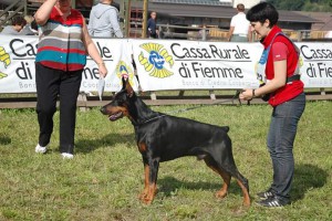 FB_IMG_1425581557714