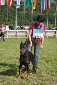 FB_IMG_1425581573948