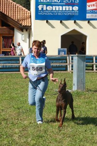 FB_IMG_1425581718675