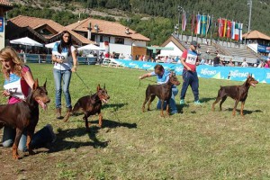 FB_IMG_1425581725590