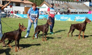 FB_IMG_1425581731942