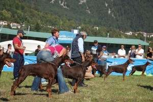 FB_IMG_1425581748232