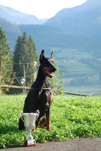 FB_IMG_1425581786293