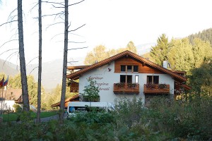 image25