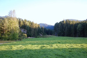 image31