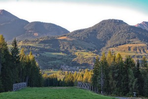 image33