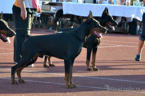 DSC_9563
