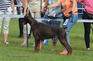 DSC_0200