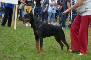 DSC_0337