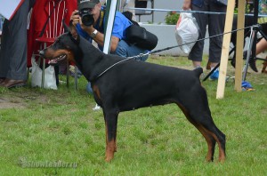 DSC_0339