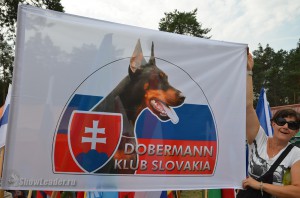 DSC_0345