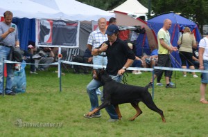 DSC_0485