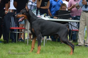 DSC_0490