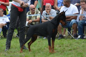 DSC_0519